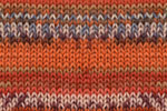153 texmex print