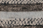 913 winter print
